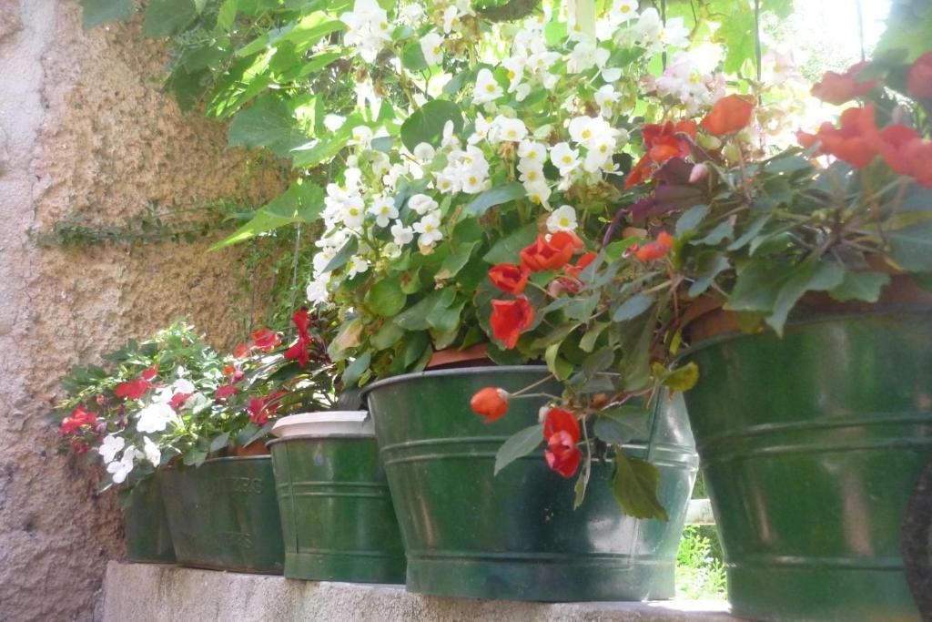 Garden 3* Dubrovnik